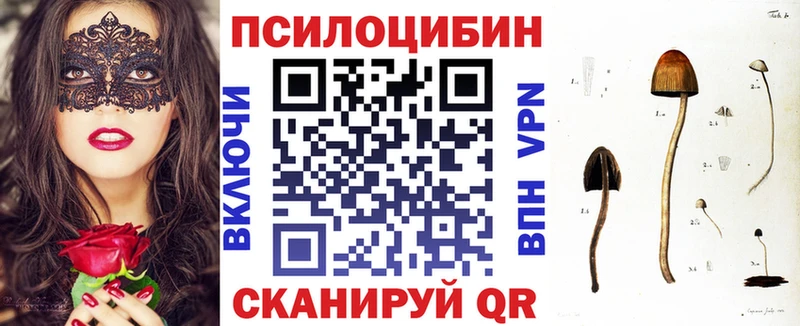 продажа наркотиков  Калтан  Галлюциногенные грибы MAGIC MUSHROOMS 